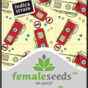 Chem OG Feminised Cannabis Seeds | Female Seeds 