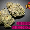 Cherry Cheesecake Auto Feminised Cannabis Seeds - Tastebudz