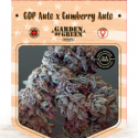 GDP Auto x Gumberry Auto Feminised Cannabis Seeds | Garden of Green GDP Auto x Gumberry Auto Feminised Cannabis Seeds | Garden of Green