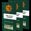 Girl Scout Cookies Feminised Cannabis Seeds | Barney's Farm.