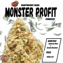 Monster Profit Feminised Cannabis Seeds | Heavyweight Seeds