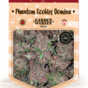 Phantom Cookies Domina Feminised Cannabis Seeds | Garden of Green Phantom Cookies Domina Feminised Cannabis Seeds | Garden of Green