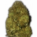 Skunky Monkey Auto Feminised Cannabis Seeds | Heavyweight Seeds Skunky Monkey Auto Feminised Cannabis Seeds | Heavyweight Seeds