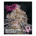 White Fire Gelato Feminised Cannabis Seeds - Growers Choice.
