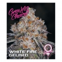 White Fire Gelato Feminised Cannabis Seeds - Growers Choice. White Fire Gelato Feminised Cannabis Seeds - Growers Choice.