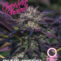 Blue Diesel Auto Feminised Cannabis Seeds - Growers Choice Blue Diesel Auto Feminised Cannabis Seeds - Growers Choice