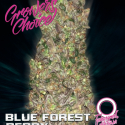 Blue Forest Berry Auto Feminised Cannabis Seeds - Growers Choice