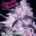 Blue Forest Berry Feminised Cannabis Seeds - Growers Choice Blue Forest Berry Feminised Cannabis Seeds - Growers Choice