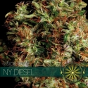 NY Diesel Feminised Cannabis Seeds | Vision Seeds NY Diesel Feminised Cannabis Seeds | Vision Seeds