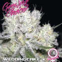 Wedding Cake x Frosty Gelato Feminised Cannabis Seeds - Growers Choice