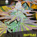 Zkittlez Feminised Cannabis Seeds | Black Skull Seeds Zkittlez Feminised Cannabis Seeds | Black Skull Seeds
