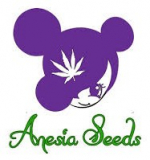 Anesia Seeds - Discount Cannabis Seeds
