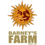 Barney's Farm Cannabis Seeds | Cannabis Seeds Store