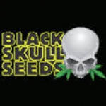 Black Skull Seeds | Cannabis Seeds Store