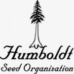 Humboldt Seeds Organisation Seeds |  Cannabis Seeds Store
