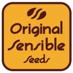 Original Sensible Seed Company | Cannabis Seeds Store