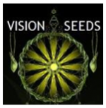 Vision Seeds | Cannabis Seeds Store