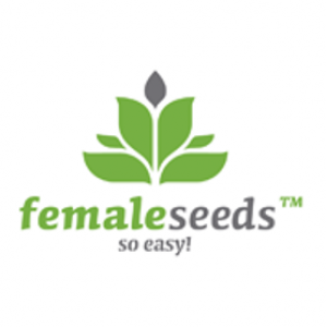 Female Seeds Feminised Cannabis Seeds | Cannabis Seeds Store