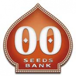 OO Seeds | Cannabis Seeds Store