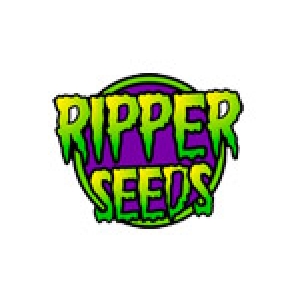 Ripper Seeds | Cannabis Seeds Store