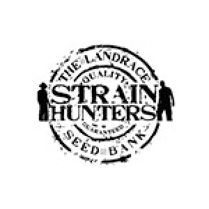 Strain Hunters | Cannabis Seeds Store