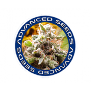Advanced Seeds | Cannabis Seeds Store