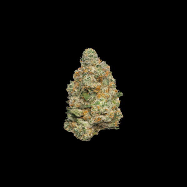 Apple Fritter Auto Feminised Cannabis Seeds - Growers Choice.