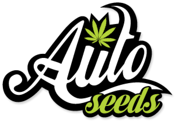 Auto Seeds Autoflowering Feminised Cannabis Seeds | Cannabis Seeds Store