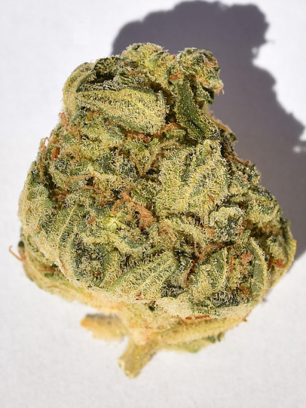 Bruce Banner #3 Feminised Cannabis Seeds | Big Head Seeds