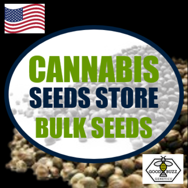 Sour Diesel Feminized Cannabis Seeds | Good Buzz Genetics