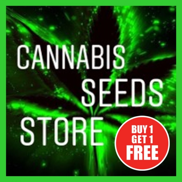 Cannabis Seeds Store - BOGOF