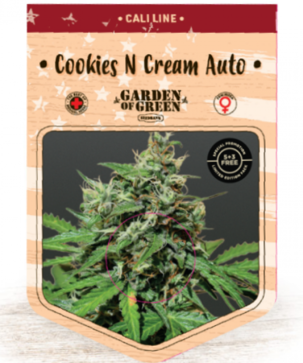 Cookies n Cream Auto Feminised Cannabis Seeds | Garden of Green