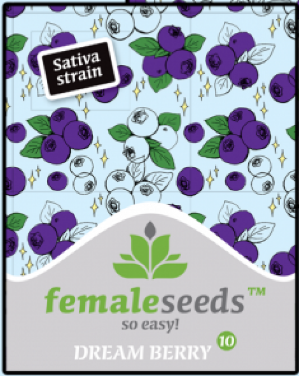Dream Berry Feminised Cannabis Seeds | Female Seeds 