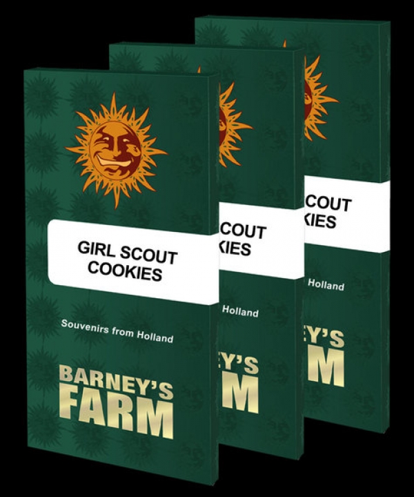 Girl Scout Cookies Feminised Cannabis Seeds | Barney's Farm. Girl Scout Cookies Feminised Cannabis Seeds | Barney's Farm.