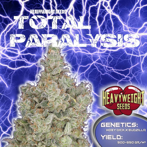 Total Paralysis Feminised Cannabis Seeds | Heavyweight Seeds