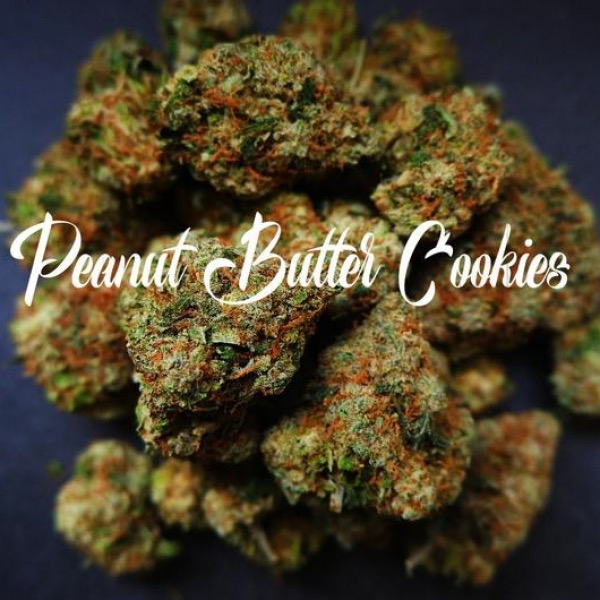 Peanut Butter Cookies Feminised Cannabis Seeds - Tastebudz.