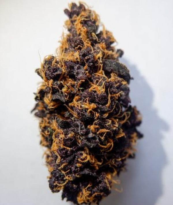 Purple Punch Auto Feminised Cannabis Seeds - Tastebudz.