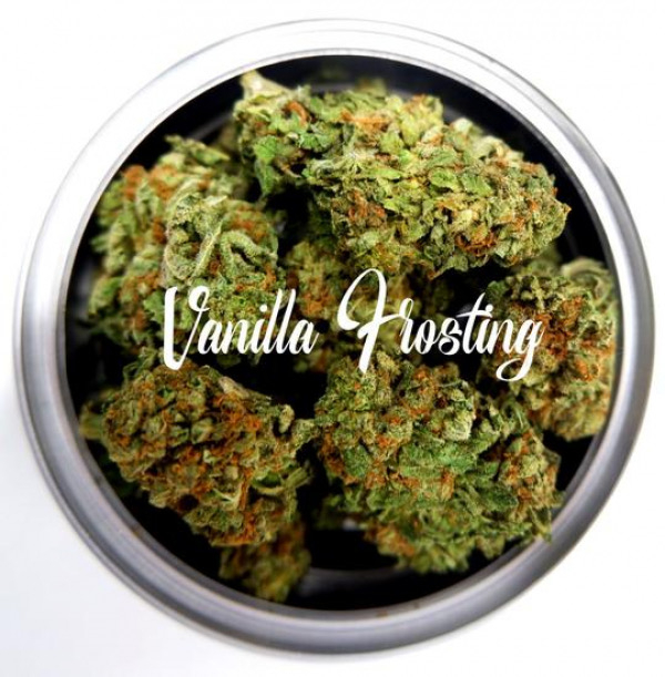 Vanilla Frosting Feminised Cannabis Seeds - Tastebudz.