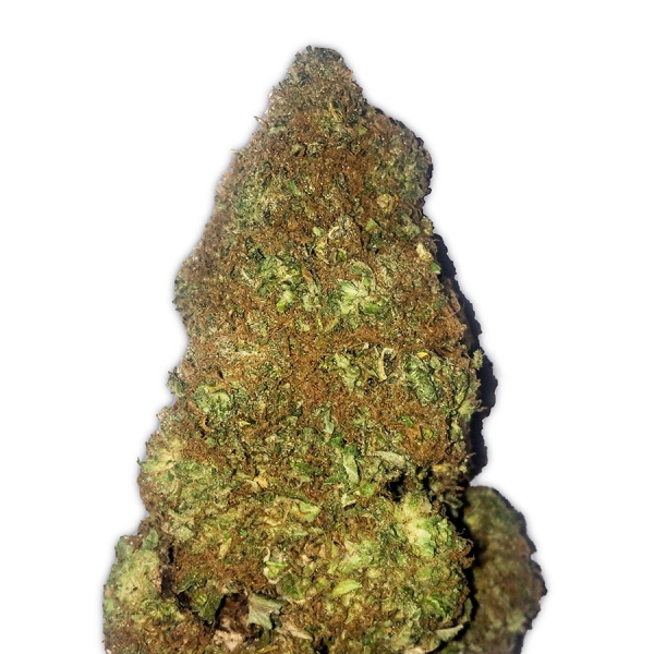 Jackpot Auto Feminised Cannabis Seeds | Heavyweight Seeds