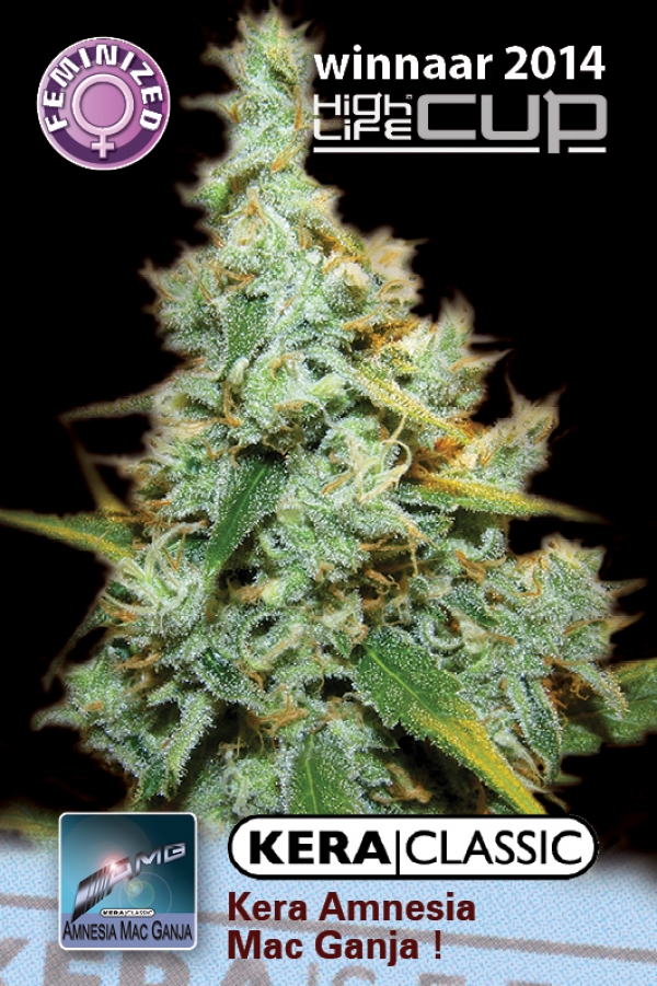 Amnesia Mac Ganja! Feminised Cannabis Seeds | Kera Seeds