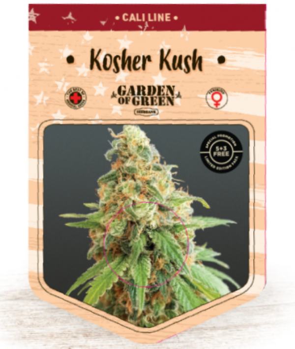 Kosher Kush Feminised Cannabis Seeds | Garden of Green