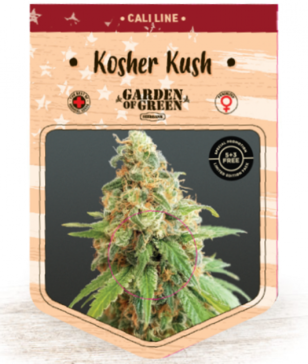 Kosher Kush Feminised Cannabis Seeds | Garden of Green Kosher Kush Feminised Cannabis Seeds | Garden of Green
