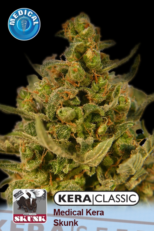 Medical Skunk Feminised Cannabis Seeds | Kera Seeds
