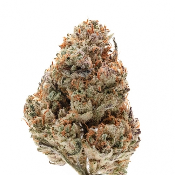 Octane Fire OG Feminised Cannabis Seeds - Growers Choice.