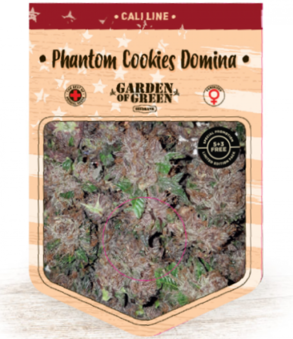 Phantom Cookies Domina Feminised Cannabis Seeds | Garden of Green Phantom Cookies Domina Feminised Cannabis Seeds | Garden of Green