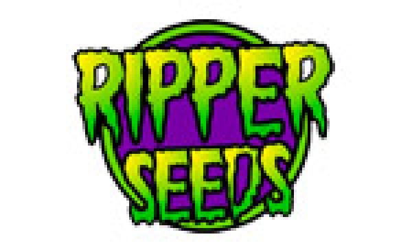 Ripper Seeds | Cannabis Seeds Store