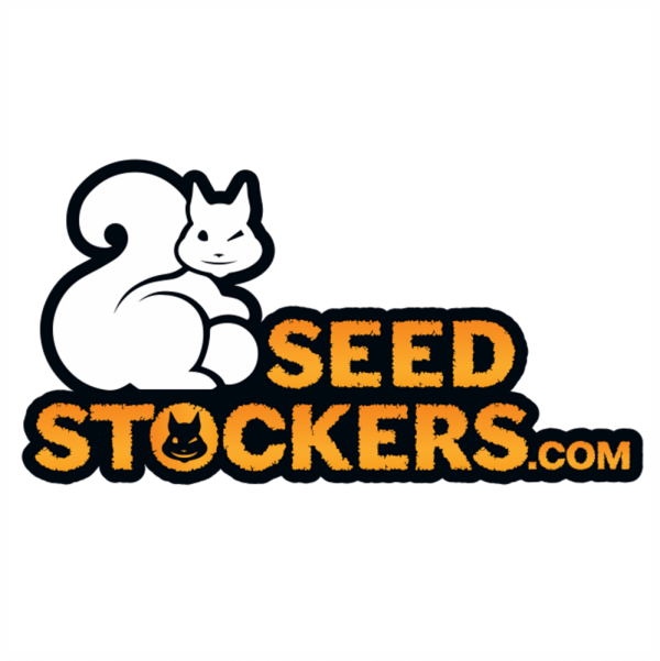 Seedstockers cannabis seeds from Cannabis Seeds Store