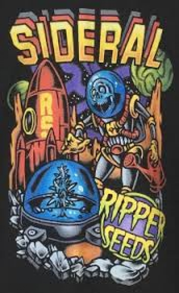 Sideral Feminised Cannabis Seeds | Ripper Seeds Sideral Feminised Cannabis Seeds | Ripper Seeds