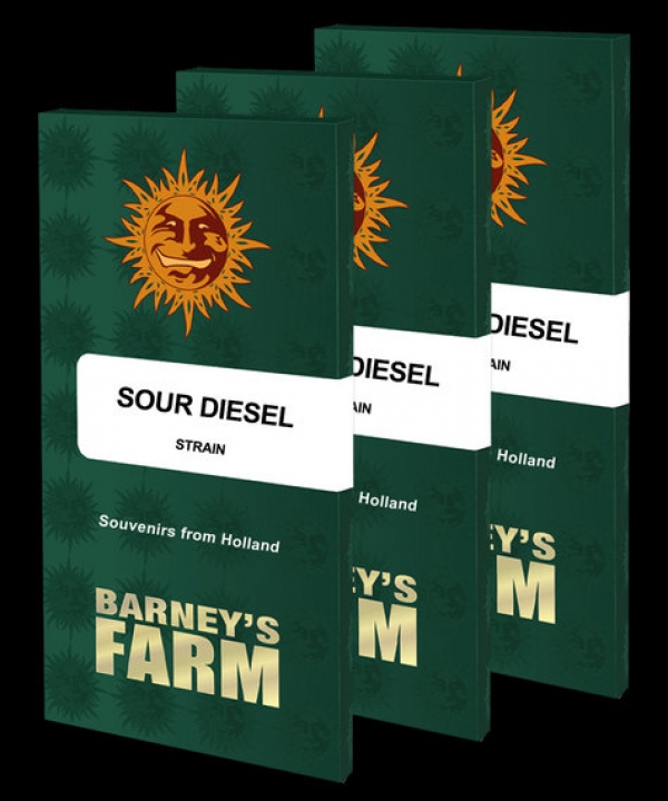 Sour Diesel Feminised Cannabis Seeds | Barney's Farm 