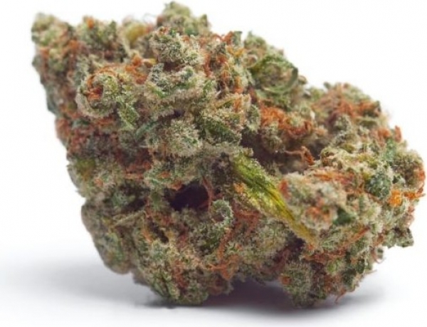 Ultra Violet GMO Feminised Cannabis Seeds - Growers Choice.